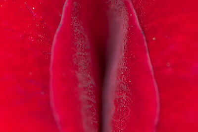 Минетка – огляд еротичних іграшок, що імітують оральний секс