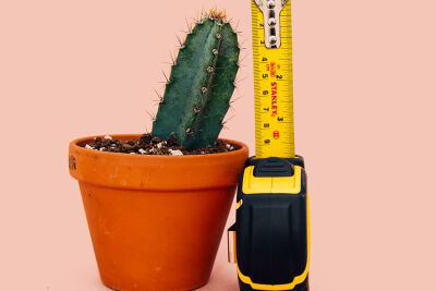 Коли гілка не горить – проблеми з ерекцією